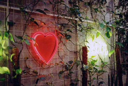 Sustainable Practices at GlitchBerry: Staying Environmentally Conscious while Packing and Shipping Products