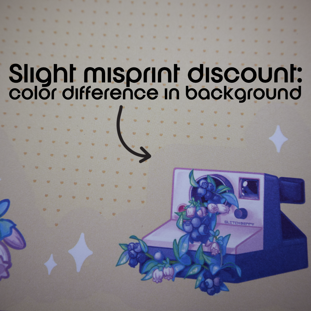 Blueberry Camera 5"x8" Notepad [Misprint Discount]
