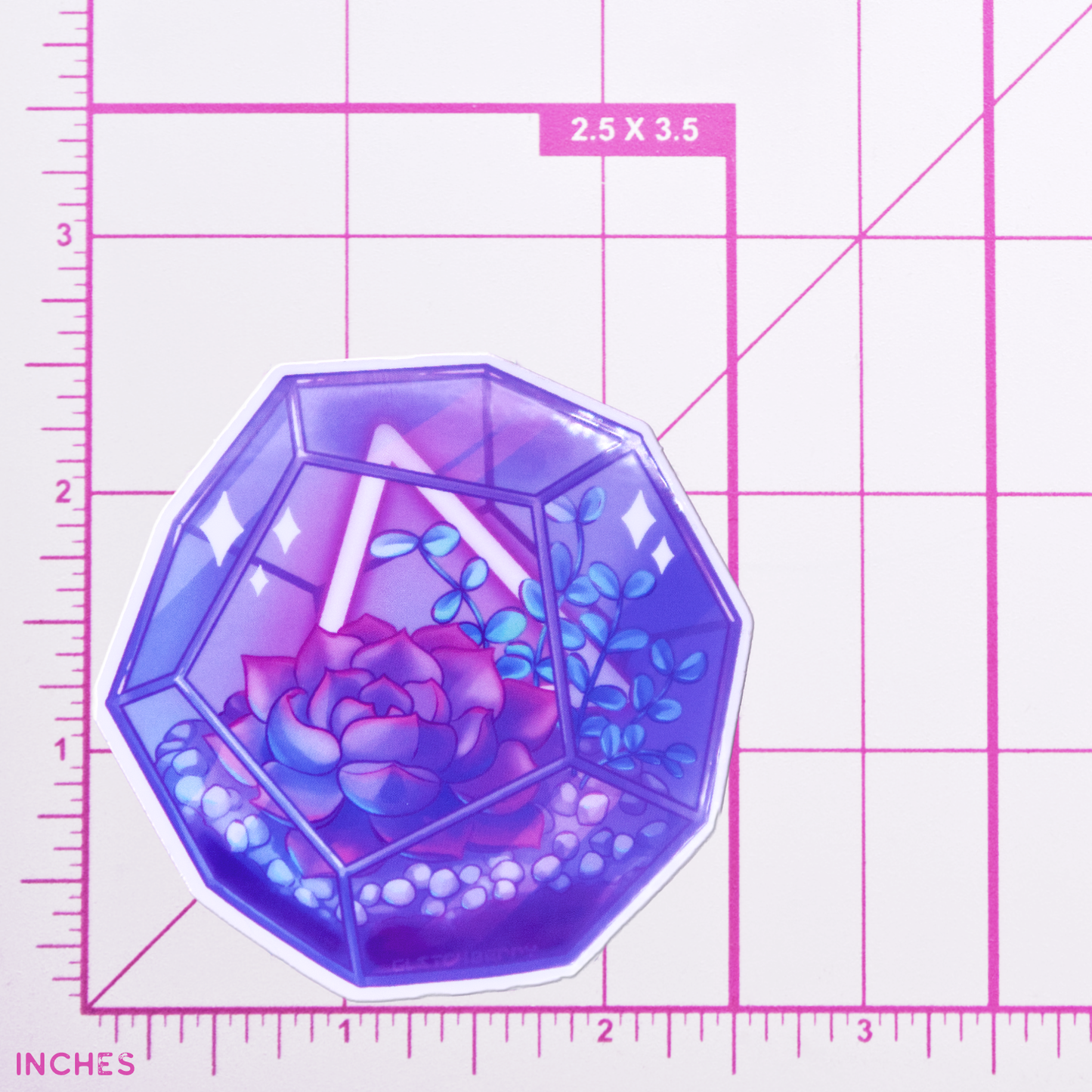 Succulent Terrarium Clear Vinyl Sticker