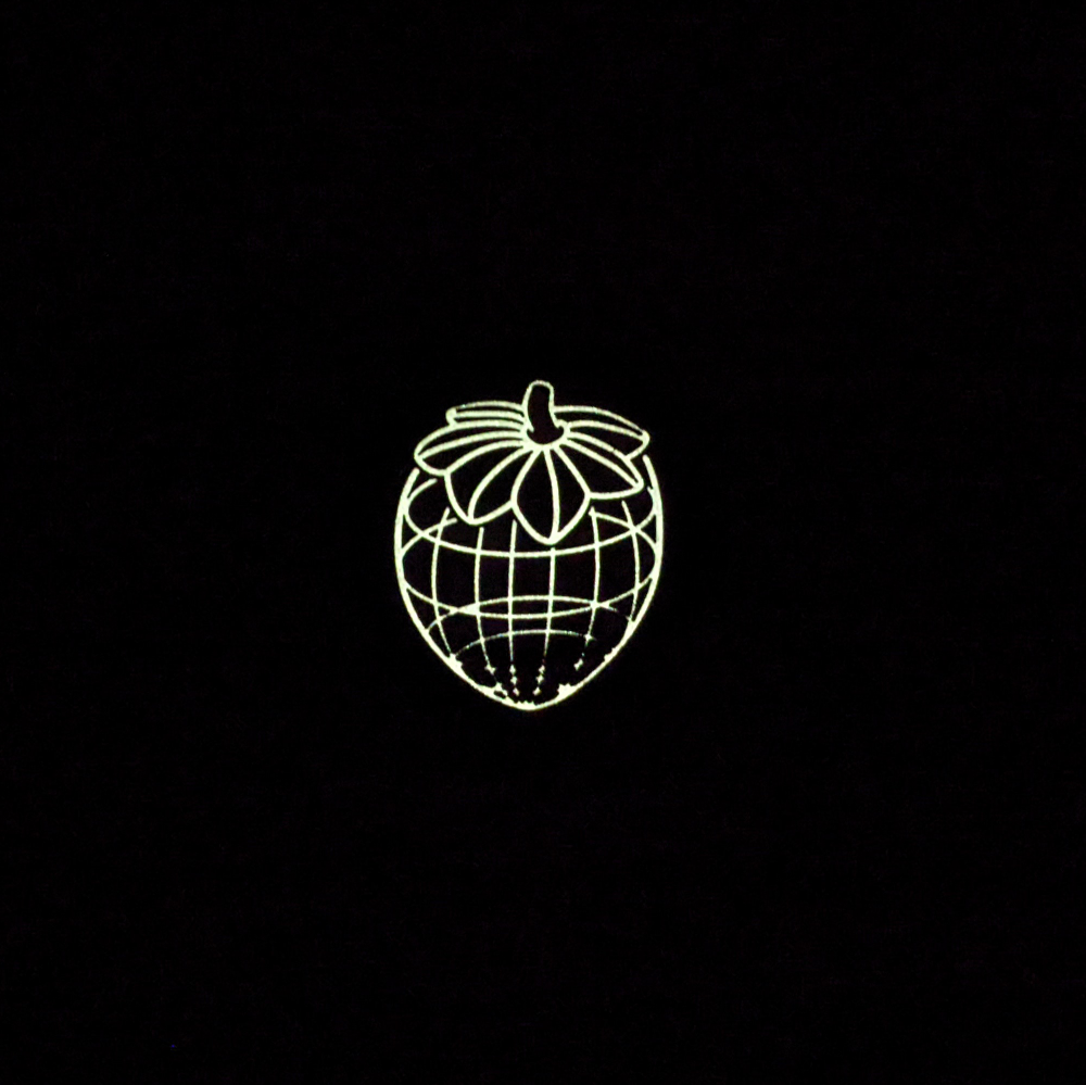 Wireframe Strawb Enamel Pin